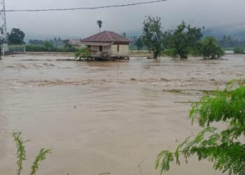 Kondisi banjir yang melanda wilayab Kabupaten Aceh Tenggara, pada Kamis (27/11). foto : BNPB