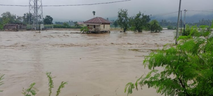 Kondisi banjir yang melanda wilayab Kabupaten Aceh Tenggara, pada Kamis (27/11). foto : BNPB