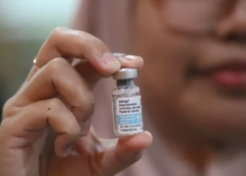 Vaksin Demam Berdarah Dengue (DBD) jenis Qdenga / Pemprov