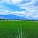 Petani sedang menggarap sawah / Gorontalo