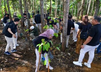 Indosat Ooredoo Hutchison melakukan penanaman pohon asli Kalimantan di Kawasan Miniatur Hutan Hujan Tropis IKN pada Rabu (04/02/2026).